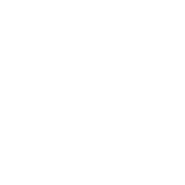 Thiago Salamon Engenharia